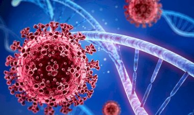 कोरोना की बढ़ती रफ्तार से सरकार चिंतितसभी राज्यों को चिट्ठी लिखकर दी यह हिदायत