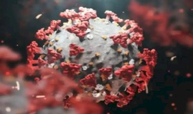 आप किस वैरिएंट डेल्टा या ओमिक्रोंन से संक्रमित है?इन तीन लक्षणों से लगाएं पता