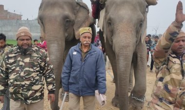 तेंदुए का आतंक जारी, एक हफ्ते में चार मासूमों को तेंदुए ने बनाया निवाला