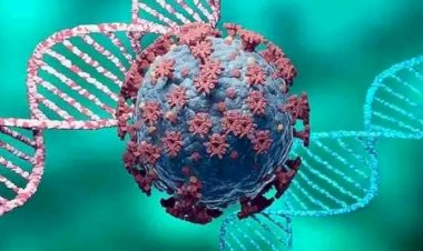 MP corona update: प्रदेश में 53 नए पॉजिटिव मिले, एक्टिव मरीजों की संख्या 299