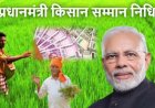 PM Kisan Yojana 11th Installment: अगर अब तक आपको नहीं मिली 11वीं किस्त, तो पैसे न आने के पीछे हो सकते हैं ये कारण