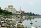 जब तक यमुना नहीं होगी साफ, तब तक नहीं धुले सकेंगे विश्व धरोहर ताजमहल के दाग!