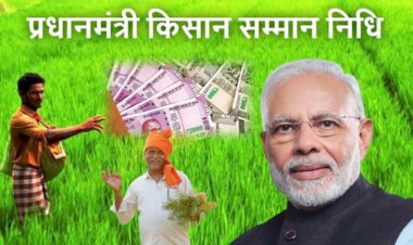 PM Kisan Yojana 11th Installment: अगर अब तक आपको नहीं मिली 11वीं किस्त, तो पैसे न आने के पीछे हो सकते हैं ये कारण