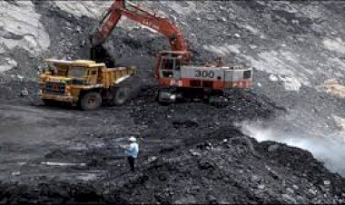 दिल्ली में कोयले के उपयोग पर प्रतिबंध, वायु गुणवत्ता प्रबंधन आयोग ने जारी किया निर्देश