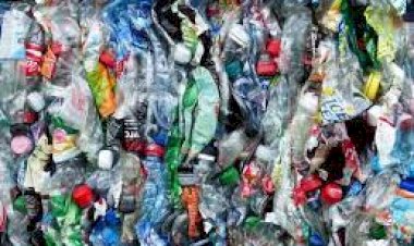 Single Use Plastic Ban: 1 जुलाई से प्लास्टिक की इन चीजों का नहीं कर पाएंगे इस्तेमाल, सरकार ने बनाया एक्शन प्लान