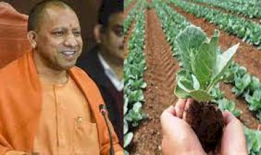 धरती की रक्षा के लिए होगा प्राकृतिक खेती के लिए बोर्ड का गठन