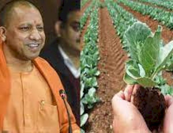 धरती की रक्षा के लिए होगा प्राकृतिक खेती के लिए बोर्ड का गठन