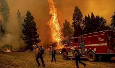 California Fire: कैलिफोर्निया में जंगल में सबसे भीषण आग, 2 हजार से अधिक घरों की बिजली काटी, सुरक्षित जगह जाने का आदेश