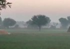 राजस्थान मे सर्दी की शुरुआत. .. मौसम में हो रहा बदलाव