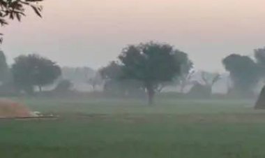 राजस्थान मे सर्दी की शुरुआत. .. मौसम में हो रहा बदलाव