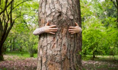 जंगल बचाओ अभियान.