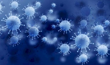 कोरोना: ओमिक्रॉन का सबवेरिएंट BF.7 कितना घातक है?