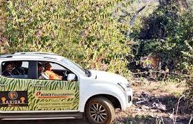 राज्यपाल मिश्र ने सरिस्का में की सफारी, दिखी बाघिन एसटी-2