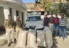 पीकअप सेे 248 किलोग्राम अवैध डोडा चुरा जप्त, पीकअप चालक व फार्म हाउस मालिक फरार*