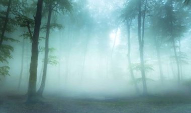 राजस्थान में शीतलहर का येलो अलर्ट