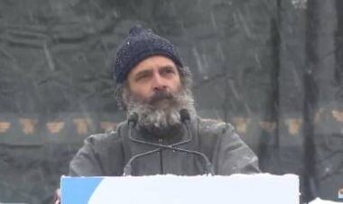 राहुल गांधी की 'भारत जोड़ो यात्रा' से क्या हुआ हासिल, पढ़िए छह वरिष्ठ पत्रकारों की राय