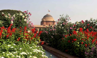 मुग़ल गार्डन अब अमृत उद्यान: नाम बदलने का चलन, राजनीति या कुछ और