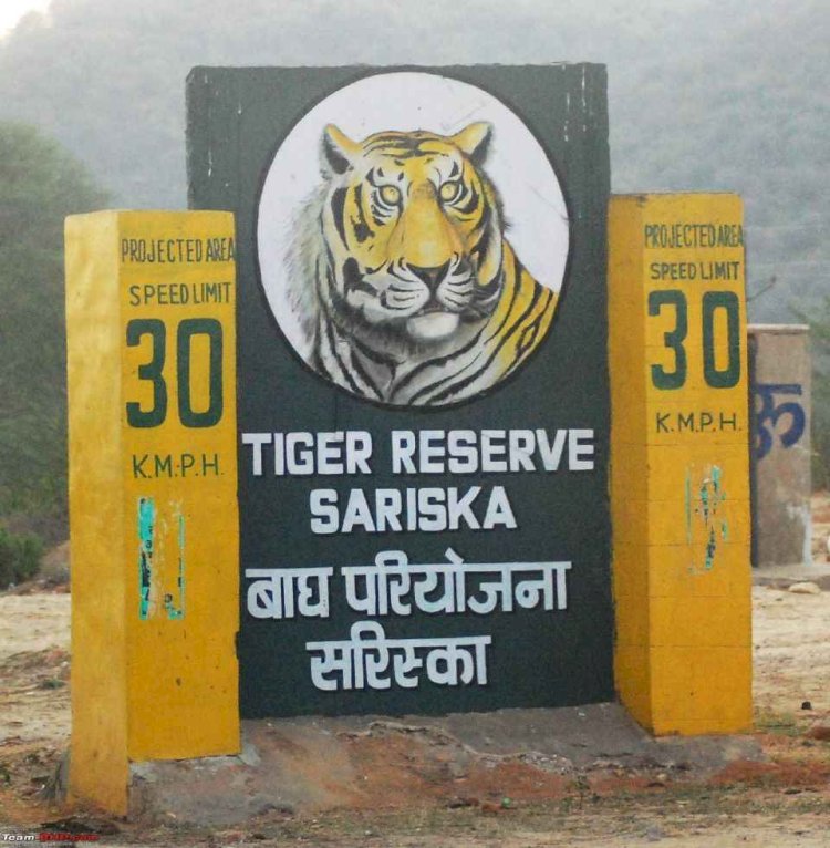 Recap 2022: कभी आग लगी तो कभी बाघ हुआ गायब, सुर्खियों में ऐसे रहा सरिस्का, VIP भी खूब पहुंचे