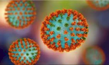 H3N2 वायरस के फ्लू संक्रमण को जानें और इन उपायों से बचें