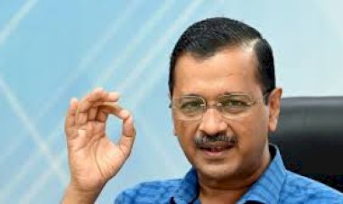 नवीन पालीवाल बने राजस्थान AAP के नए अध्यक्ष, सात सह प्रभारी नियुक्त