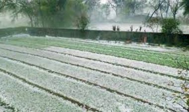 राजस्थान के इन जिलों में बारिश के साथ जमकर हुई ओलावृष्टि, मौसम विभाग का अलर्ट जारी