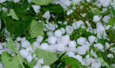 राजस्थान में 29 मार्च से बारिश-ओलावृष्टि का अलर्ट, मौसम विभाग की किसानों को सलाह