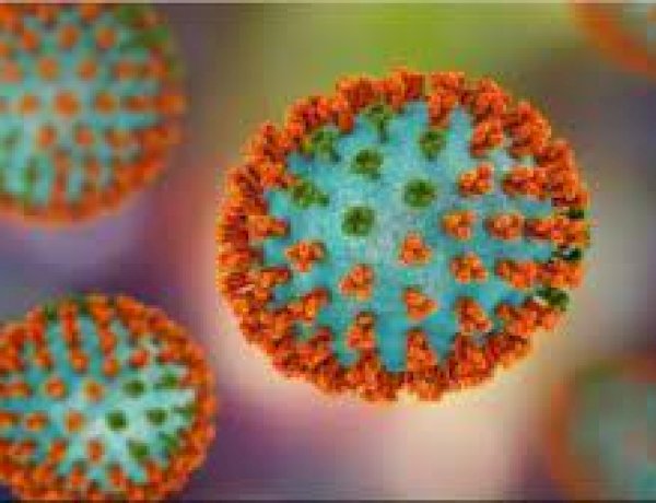 H3N2 वायरस के फ्लू संक्रमण को जानें और इन उपायों से बचें