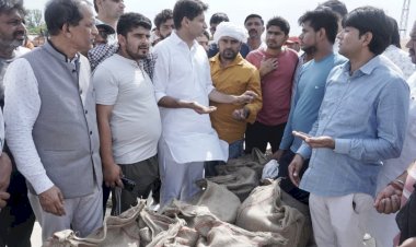 खरीद के सरकारी दावों की खुली पोल, लस्टर लॉस, नमी, कालस के नाम पर लौटाई जा रही किसानों की गाड़िया: दीपेन्द्र हुड्डा